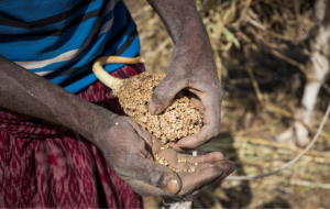동아프리카: 가뭄으로 2,760만명 기근 직면…”마지막 비는 5년 전”